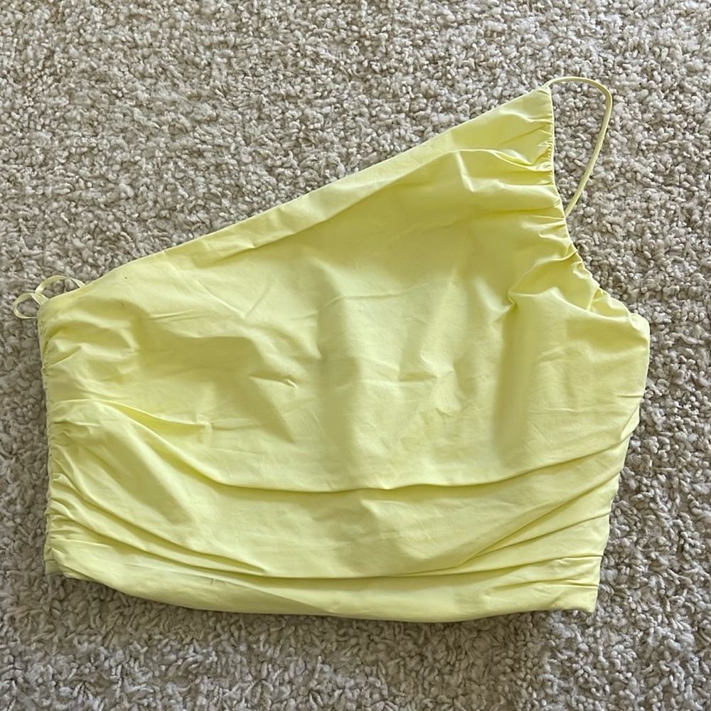 Zara crop top
